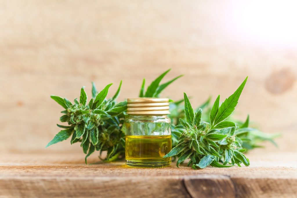 The Physical and Mental Benefits of Cannabidiol